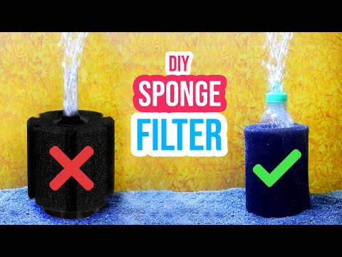 🧽 DIY Sponge Filter: How to Make a Sponge Filter for Your Aquarium 🐠