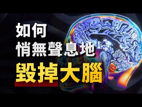 你的思維，為什麼總是「卡機」？硬核腦科學，揭開年輕人大腦混亂的四大元兇