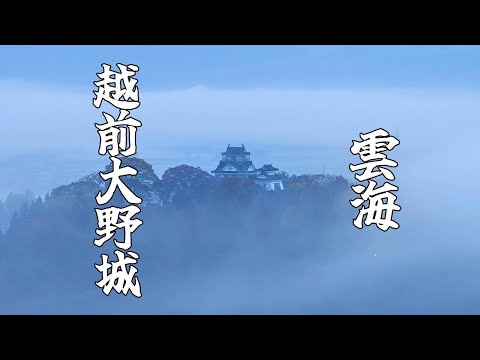 【絶景】天空の城「越前大野城」と雲海　｜福井県｜大野市｜GH5s｜