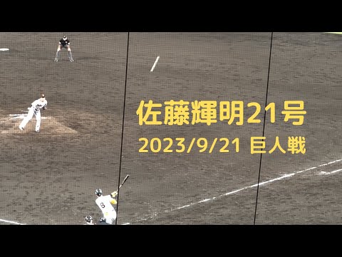 佐藤輝明21号ホームラン 2023/9/21巨人戦