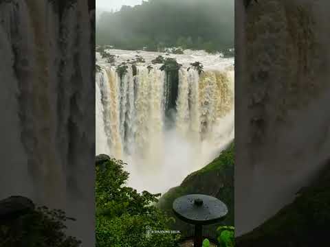 Jog Falls | Best waterfalls in Karnataka #jogfalls #waterfall