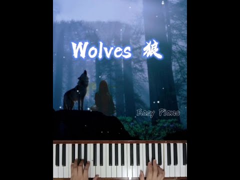 Wolves~Easy Piano |Selena Gomez, Marshmello |Piano cover🎹狼| 简易钢琴