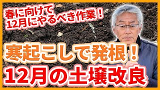 家庭菜園や農園の野菜栽培は寒起こしで土壌改良！初期生育が良くなる土作りと野菜の育て方！【農家直伝】