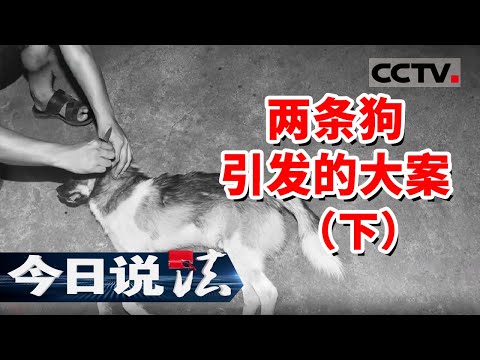 《今日说法》两条狗遭人暗算 活跃在山间的轿车究竟隐藏着什么秘密？20250103 | CCTV今日说法官方频道