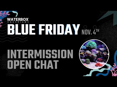 Blue Friday Intermission - A look at beautiful aquariums and open chat