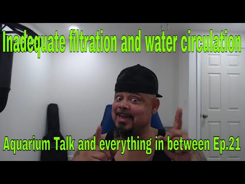 Inadequate filtration and water circulation