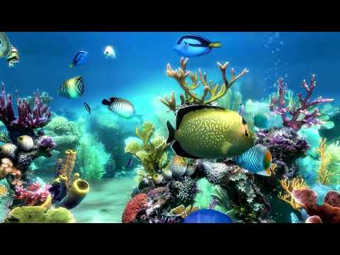 Calming Underwater Aquarium Fish Tank Water Sounds | Soothing Relaxing Focus Sleep | 3 Hours