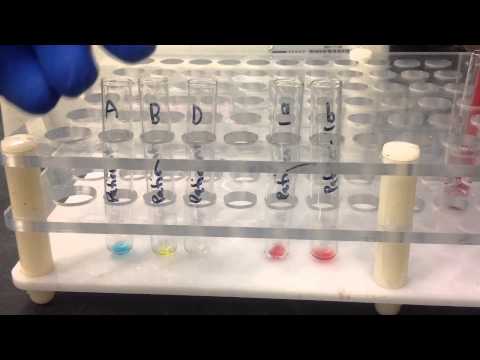 Blood Bank-Forward and Reverse ABORh Blood Typing (Tube method)