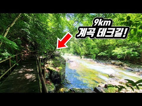 Korea's Millennium Forest Trail Trekking Course