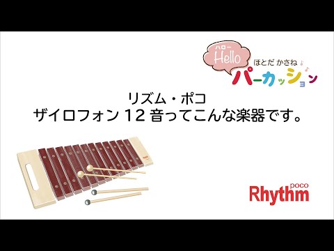 リズム・ポコ ザイロフォンってどんな楽器？