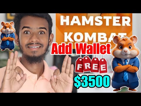 hamster kombat mining withdrawal || hamster kombat daily combo today | Hamster Kombat Wallet Connect