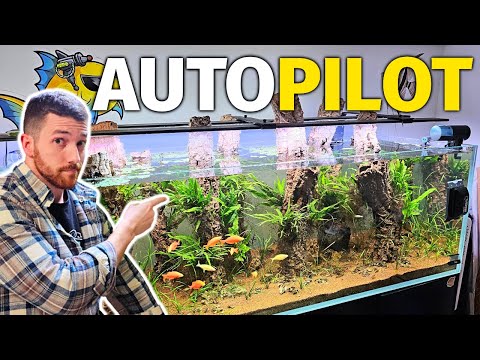 My Special Recipe For An AUTOPILOT Aquarium!