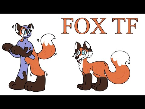 Fox Transformation / Fox TFTG (part 3)