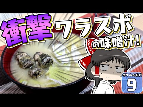 【Minecraft】【ポケふた紀行 #9】わらすぼの味噌汁を手作りしたら衝撃的な結果になった！【マイクラ】【ゆっくり実況】