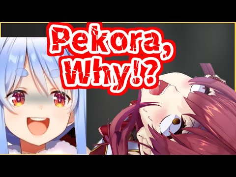 Pekora's gift confused Marine so much   [Hololive/Houshou Marine/Usada Pekora]