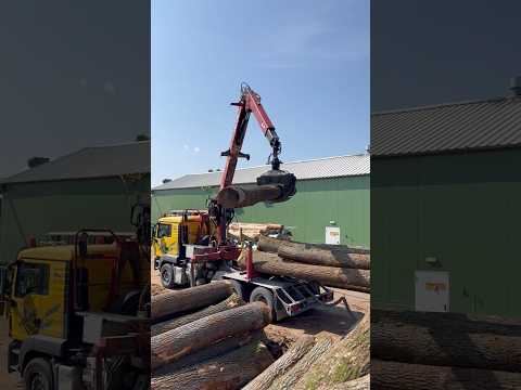 Unloading #sawmill #wood #woodindustry #woodworking #woodbusiness #woodmachinery #oak #woodfactory