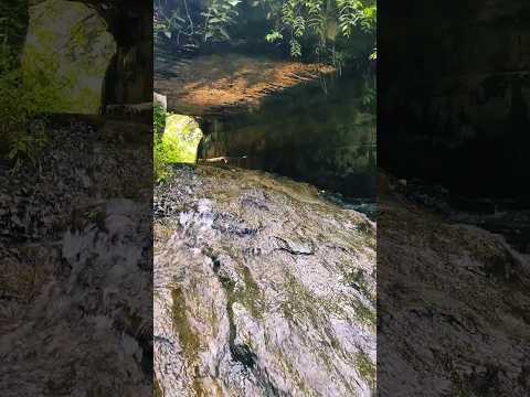 A relaxing Sound Of Waterfall #shorts #viralshorts