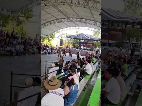 En El Foro Cultural pasan Las Danzas Participantes del Festival Nacional de Mascaras Danzantes