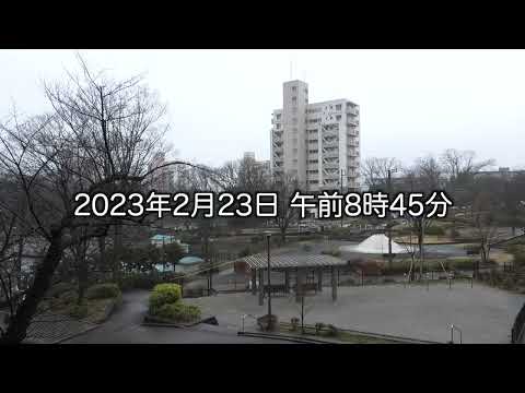 今日は細雪【2023年2月23日】