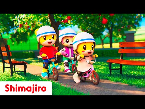 Let’s go by bicycle! 🚴 | Safety during Play with Shimajiro | Nursery Rhymes & Songs for Kids