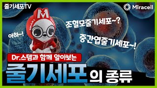 [줄기세포-Stem Cell TV]줄기세포를 알아봅시다 (feat. 조혈모줄기세포, 중간엽줄기세포)