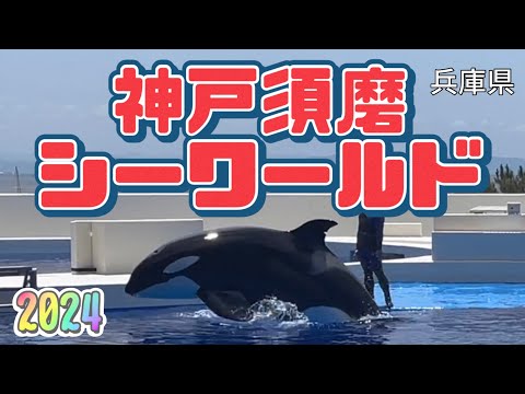 【いいとこどり】神戸須磨シーワールド8分半で見る！アクアライブ Let’s explore Kobe Suma Seaworld in 8:30