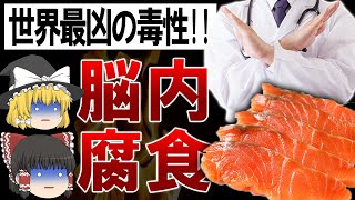 【ゆっくり解説】医者も禁止するヤバさ!?世界最強の毒性を持つサーモンの危険性について