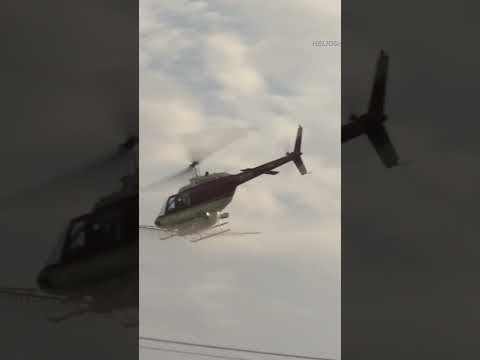 Helicopter Bell 206B spraying flight/ヘリコプター散布#helicopter spraying