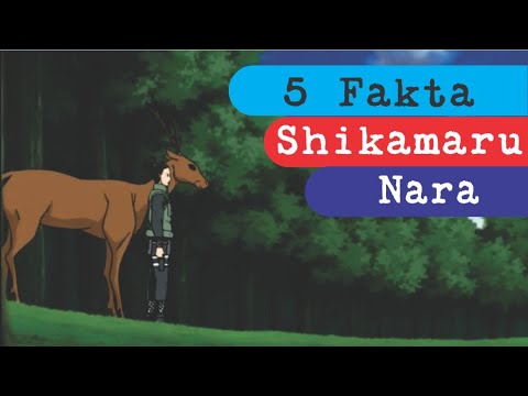 5 facts of Shikamaru! Inventor of Kagemane Shuriken