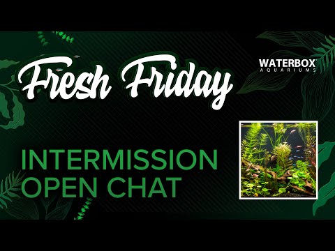 Fresh Friday Intermission