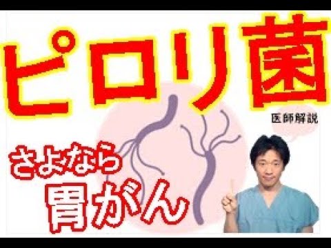 胃がんの最大の原因【ピロリ菌】 検査と除菌治療が胃がん最強の予防法！