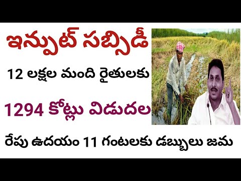 రేపు ఉదయం 11 గంటలకు ఇన్పుట్ సబ్సిడీ డబ్బులు విడుదల//ap input subsidy 2024 in Telugu