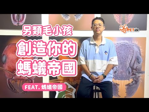 另類毛小孩 創造你的螞蟻帝國feat.螞蟻帝國#哈寵PETube 第263集