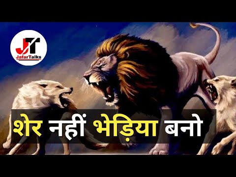 शेर नहीं भेड़िया बनो | Motivational | JafarTalks | Motivational Video| Inspirational Video| Inspire|