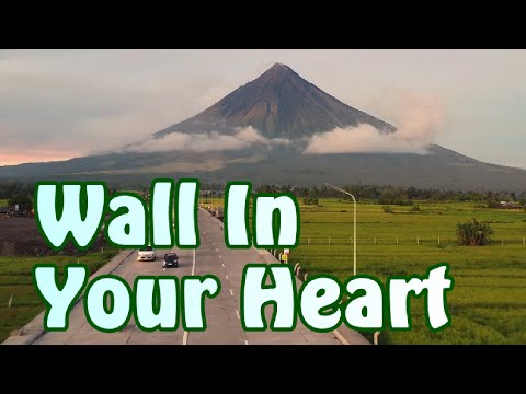 Wall In Your Heart (Shelby Lynne Lyrics)