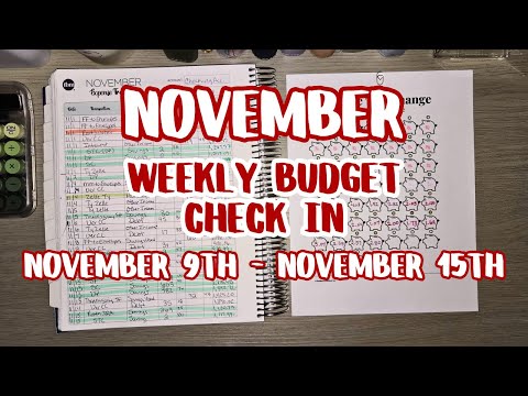 Budget Check In | Angry Rant 🤬 | November Week 3 | #savings #budgeting #trending