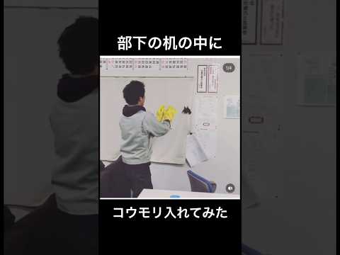 【現場監督ドッキリ】部下の机にコウモリ入れたら・・#shorts