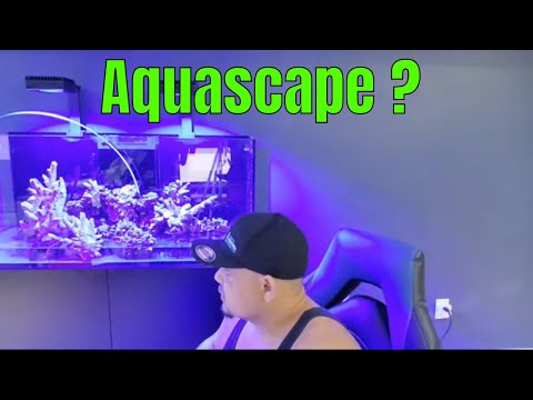 Aquascaping Red Sea Reefer 350 Reef Aquarium