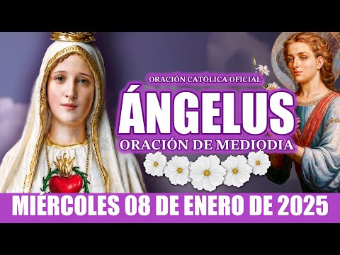 Ángelus de Hoy MIÉRCOLES 08 DE ENERO DE 2025 ORACIÓN DE MEDIODÍA