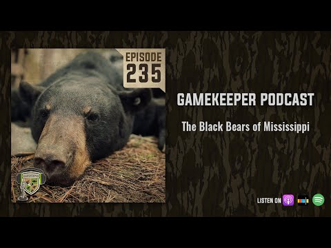 EP:235 | The Black Bears of Mississippi