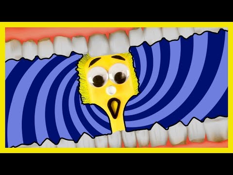 Brush Your Teeth Song for kids | 2 Minute Tooth Brushing Timer