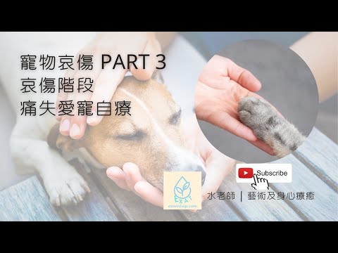 寵物哀傷 PART 3 | 哀傷階段 | 痛失愛寵自療 | 關愛失去愛寵的身邊人