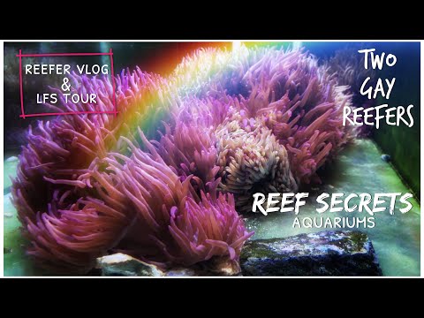 Reef Secrets Aquariums - Reefer Vlog & LFS Tour.