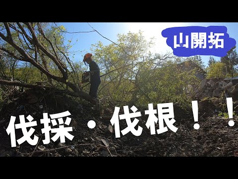 【山開拓】木の伐採とゴミ開拓