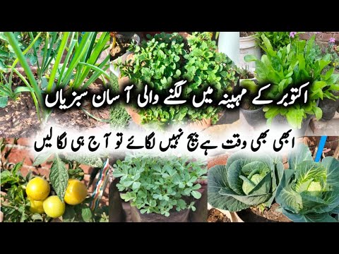 اکتوبر/نومبر میں کون سی سبزیاں لگا سکتے ہیں ؟Vegetables to grow in oct_nov/Winter Vegetables To Grow