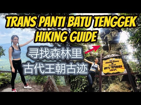 Trans Panti Kota Gelanggi 跨越猪头山寻找森林里的古迹Transformer Batu Tenggek