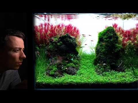 I MADE A NEW ''MOSS DRYSTART'' AQUASCAPE - Step by Step Tutorial