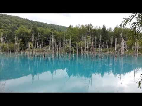 北海道美瑛町★青い池　２０１６夏