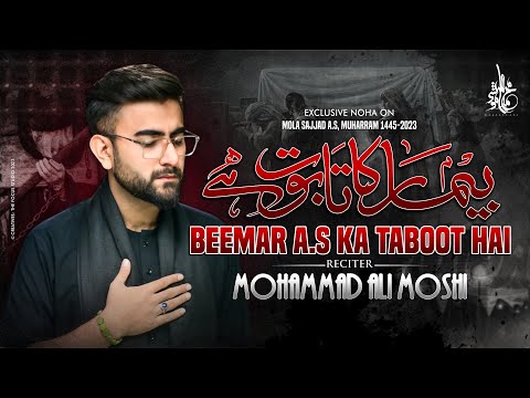 Imam Sajjad Noha 2023 | Beemar Ka Taboot Hai | Mohammad Ali Moshi | 25 Muharram Noha 2023