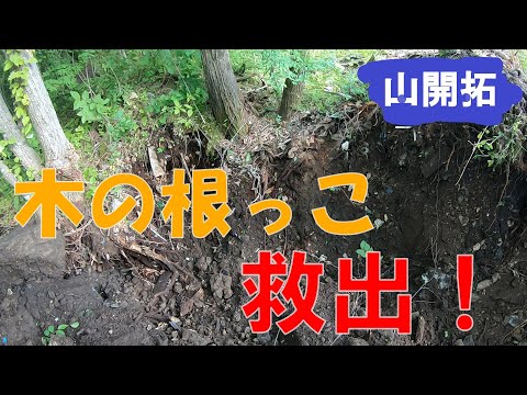 【山開拓】新規開拓で巨大岩が出現⁉